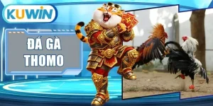 Đá Gà Thomo Trực Tiếp Trường Đấu Đỉnh Cao Thưởng Siêu To