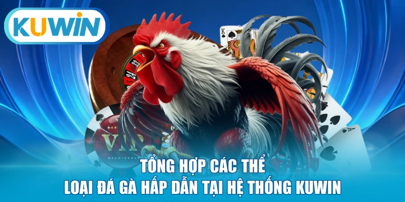Tổng hợp các thể loại đá gà hấp dẫn tại hệ thống KUWIN